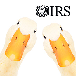 IRS logo in black; the heads of two geese