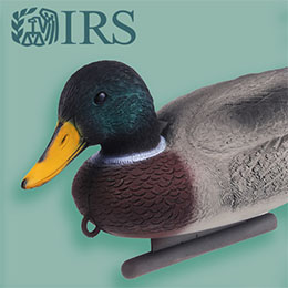 Decoy duck isolated on a light green background. Dark teal IRS logo.