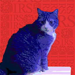 Blue pop art cat on a red background with IRS logo pattern.