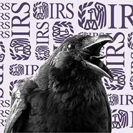 Black raven in front of purple IRS logo pattern.