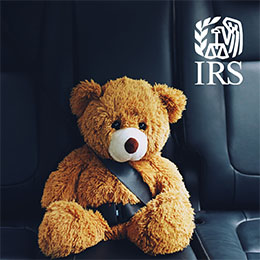 Brown teddy bear wearing a seatbelt in the back of a car. White IRS logo.